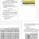 Формування ефективного бізнес-плану. Структура бізнес-плану (на матеріалах підприємства «ЛІМіК»)