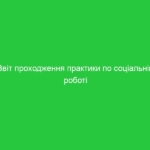 Звіт проходження практики по соціальній роботі